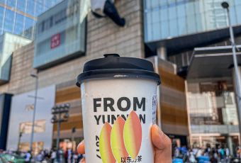 CHAGEE霸王茶姬(兴龙街店) User Photo