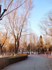 Kangzhuang Park