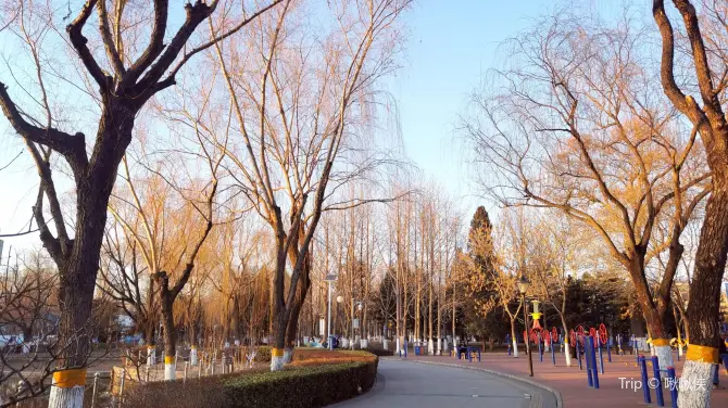 Kangzhuang Park