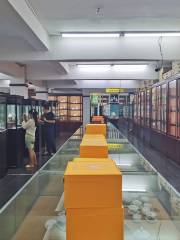 Jingdezhenyu Ci Museum