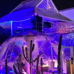 夢幻星空DreamSky（永嘉店）張用戶圖片