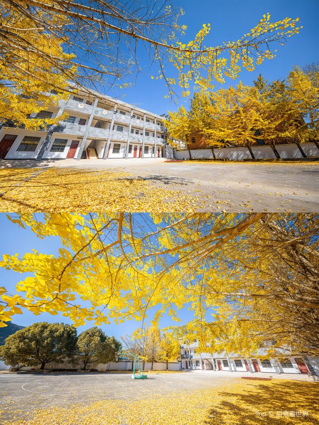 신광촌
