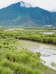 雅尼國家濕地公園