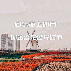 海上明月大酒店 User Photo