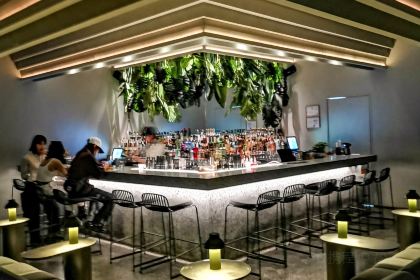 Sage Cocktails Whisky Bar