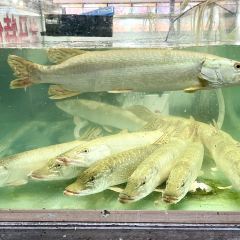 蜀湘园冷水鱼庄(友谊峰路店) User Photo