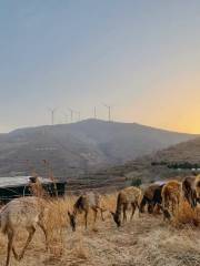 Wan'an Mountain Alpine Pasture, Luoyang