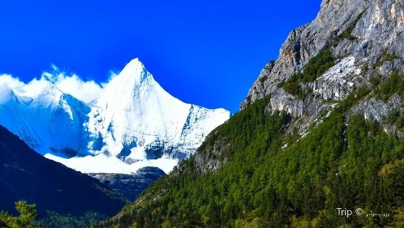 Daocheng