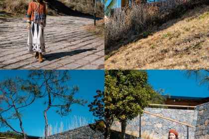 LAO ZI HAO DAN LONG SHUI KU SHENG TAI YU GU