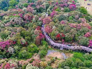 百里杜普底景区