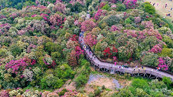 Baili Dujuan Pudi Scenic Area