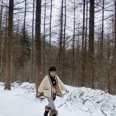 广货街味道 User Photo