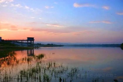 鹊山湖阿尔卡迪亚国际度假酒店·餐厅