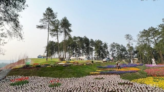 Anne's Fairy Tale Forest