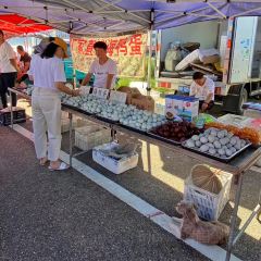宫家庄农贸市场 User Photo