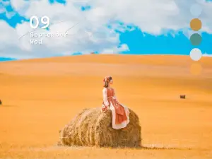 辺防公路