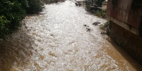 阿倮歐濱森林公園