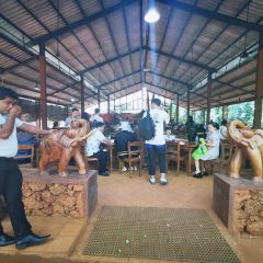 iswara ayurvedic villiage spice garden User Photo