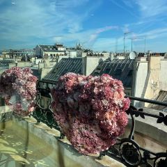 Aux delices de l'Orient張用戶圖片