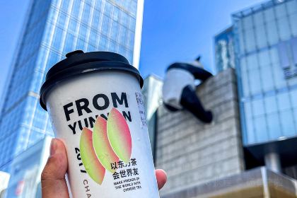 CHAGEE霸王茶姬(陆良店)