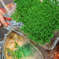 好彩猪肚鸡(中原万达店) User Photo