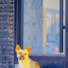 慕啡咖啡(中央公馆店) User Photo