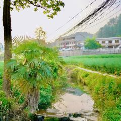 菌小妹庭院私廚張用戶圖片