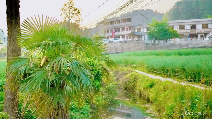 菌小妹庭院私廚