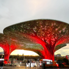 王妃家年糕火鍋炸雞 （中防萬寶城店）張用戶圖片