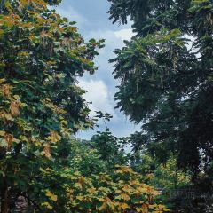 黄果树匠庐·村晓·餐厅 User Photo