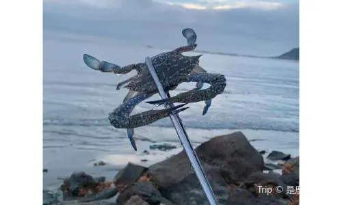 Beachcombing in Shantou