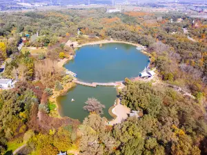 Shenyang Expo Garden