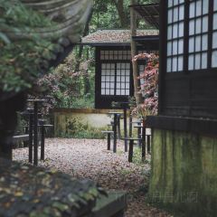 无漏秋山(素食餐厅) User Photo
