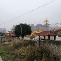 金福海鲜饭店(新港城店) User Photo