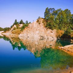 翠園農莊張用戶圖片