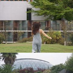 悦兮半岛温泉度假酒店·餐厅部 User Photo