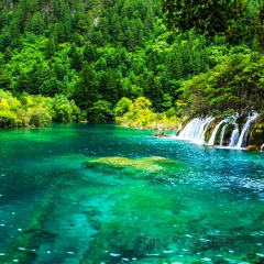 RU YI LIN KA CANG CAN User Photo