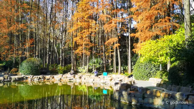 People's Park