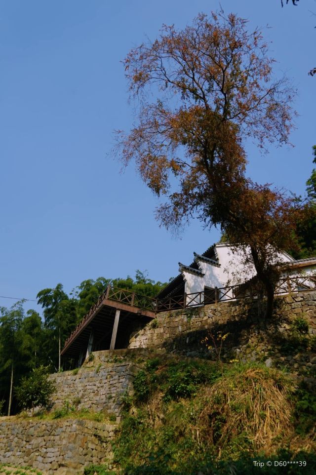 冠佩村