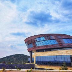 Runaway Cow Canton 8 User Photo