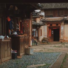吃茶去 User Photo