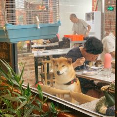 楼上瓦煲鸡 User Photo