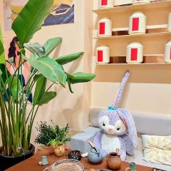 T&B THEME(商业中心店) User Photo