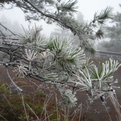 海东万枫酒店·自助餐厅 User Photo