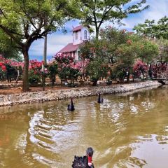 Wanhuagu Rose Manor User Photo