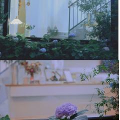 馥约花艺咖啡 User Photo