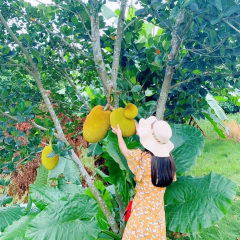 岭澜食尚 User Photo