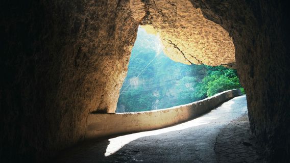 Western Gully Hanging Highway