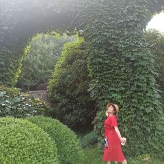 哥伦波太湖城堡下午茶餐厅 User Photo