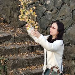 梅峰饭店 User Photo